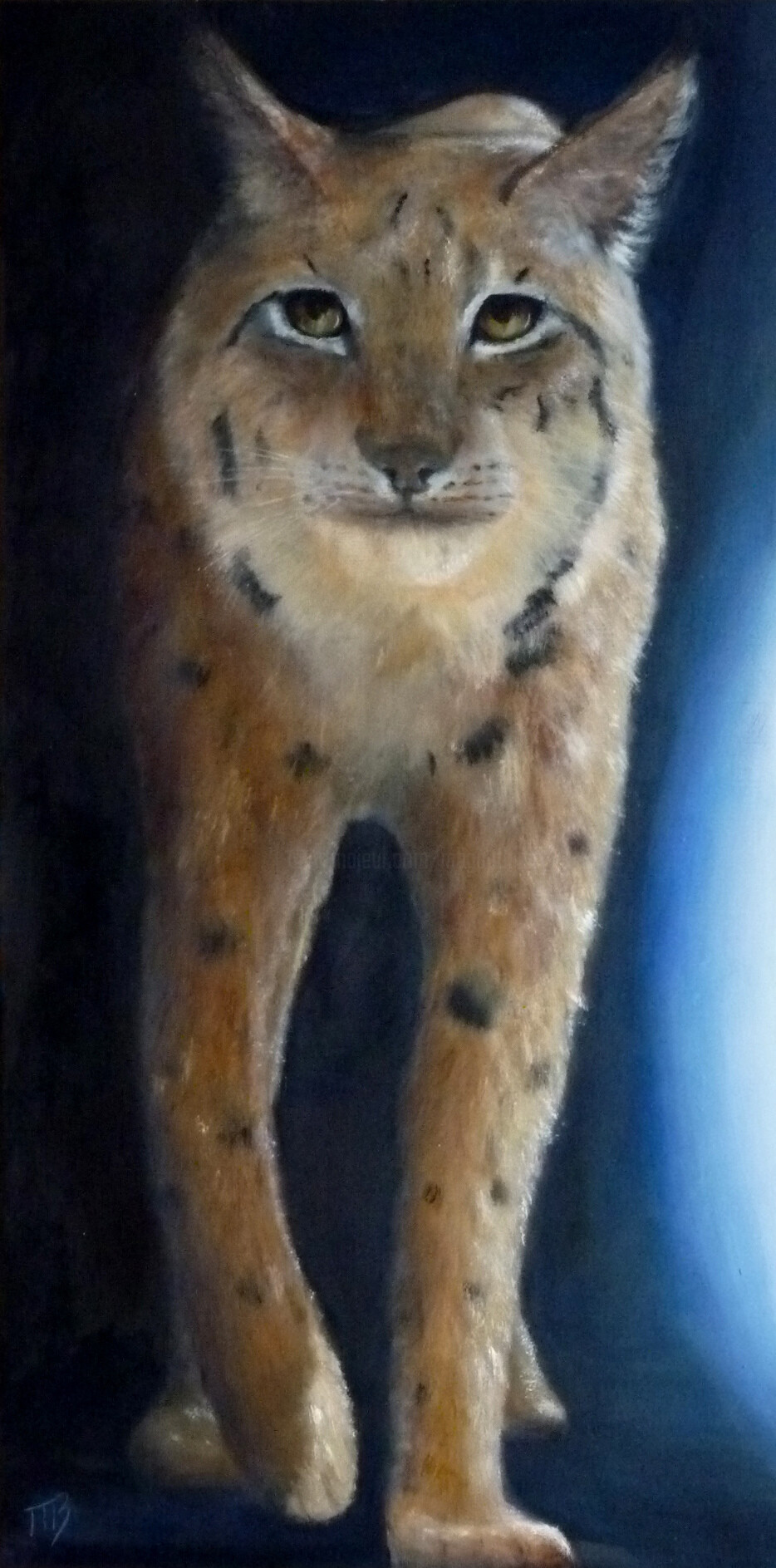 M Batté Gauthier (M B) - Lynx