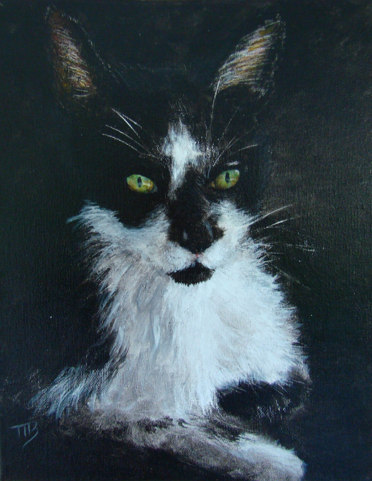 M Batté Gauthier (M B) - Portrait de chat